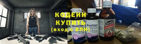 не бодяженный Снежногорск