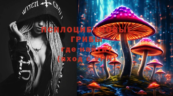 не бодяженный Снежногорск