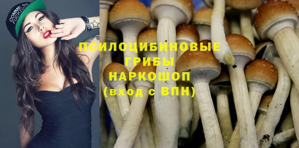 не бодяженный Снежногорск