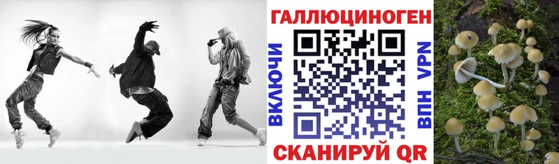 Псилоцибиновые грибы Psilocybe  Купить  Северо-Курильск 